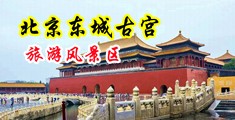 男生操女生的小骚逼网站中国北京-东城古宫旅游风景区